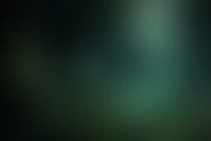 Фотография квеста-анимации Мистический лес шамана от компании Walkservice (Фото 1)